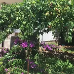 Relax Garden *