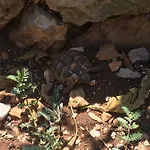 Relax Garden Апартаменты Стари Град