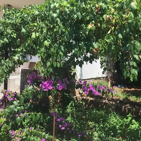 Relax Garden *