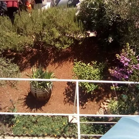 Relax Garden